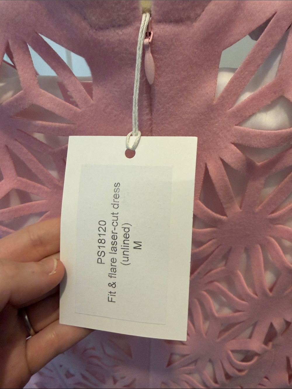 Paskal Laser-Cut Dress in Light Pink - Picture 4 of 5